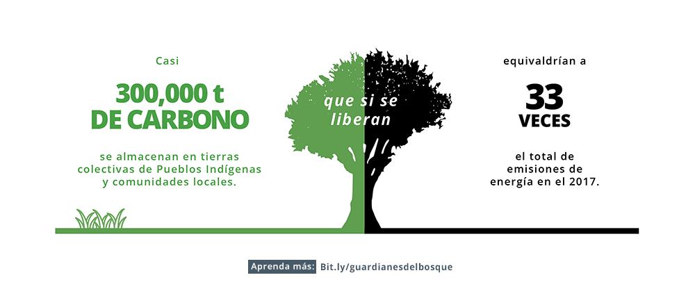 RightsResources's tweet photo. Casi 300.000 millones de toneladas métricas de carbono se almacenan en las tierras forestales colectivas de los #PueblosIndígenas y las comunidades locales. ¡Esta cantidad es equivalente a 33 veces las emisiones de energía de 2017 a escala mundial! https://t.co/xKcuwVOJkX https://t.co/KS2Gyx8vWV