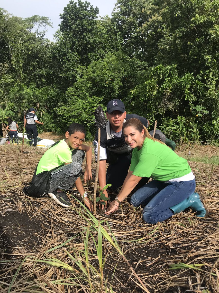 GoGreenC3's tweet photo. ¡Reforestamos! porque sabemos que el futuro, es de todos #JuntosSomosColón 🌎 5to Gran Día de Reforestación Nacional, sembrando arboles con raíces fuertes 💚🌱🌳 #alianzaporelmillon #ReforestaPanama https://t.co/bAIDNPSbR2