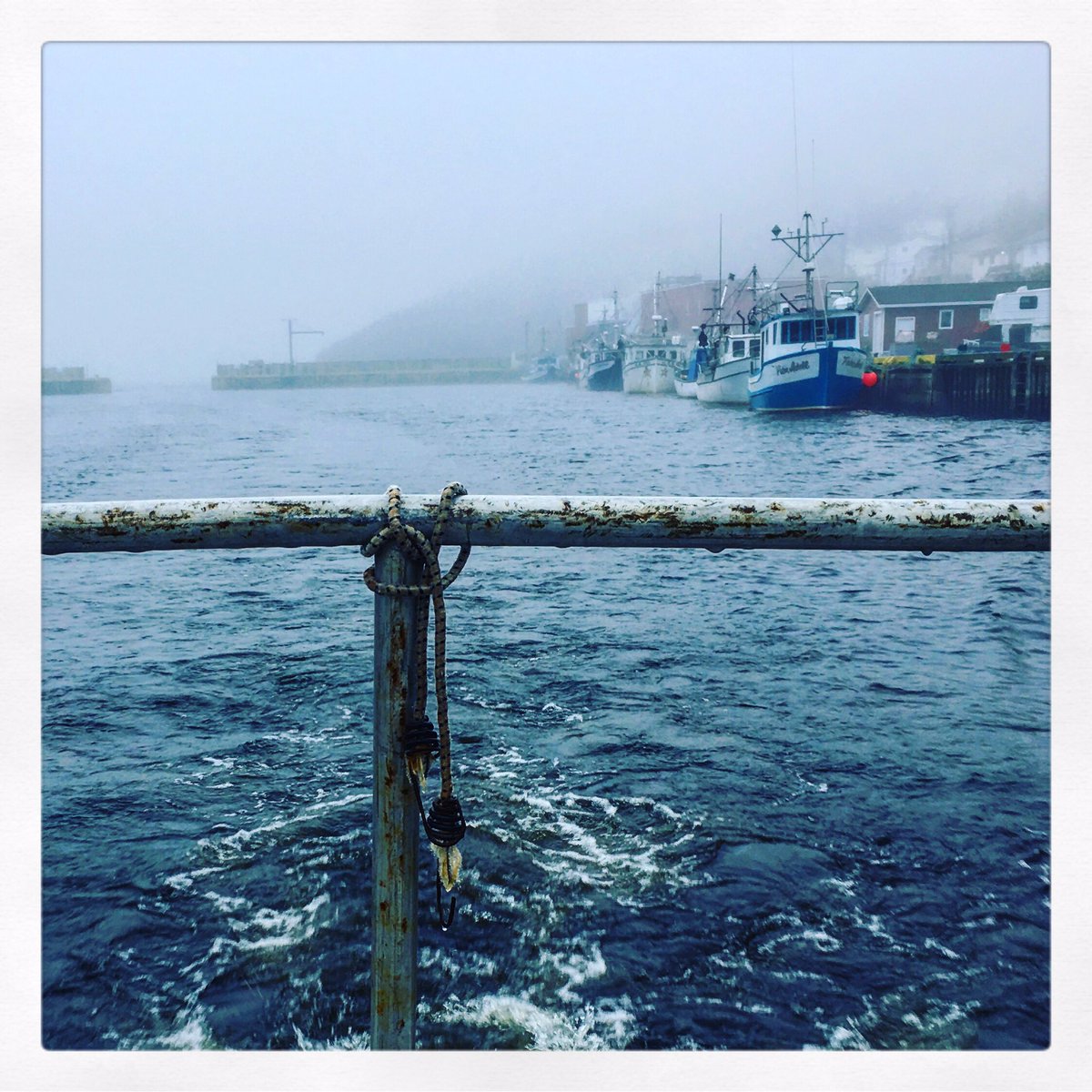 Petty Harbour in the mist 😍

#yyt #pettyharbour #explorenl