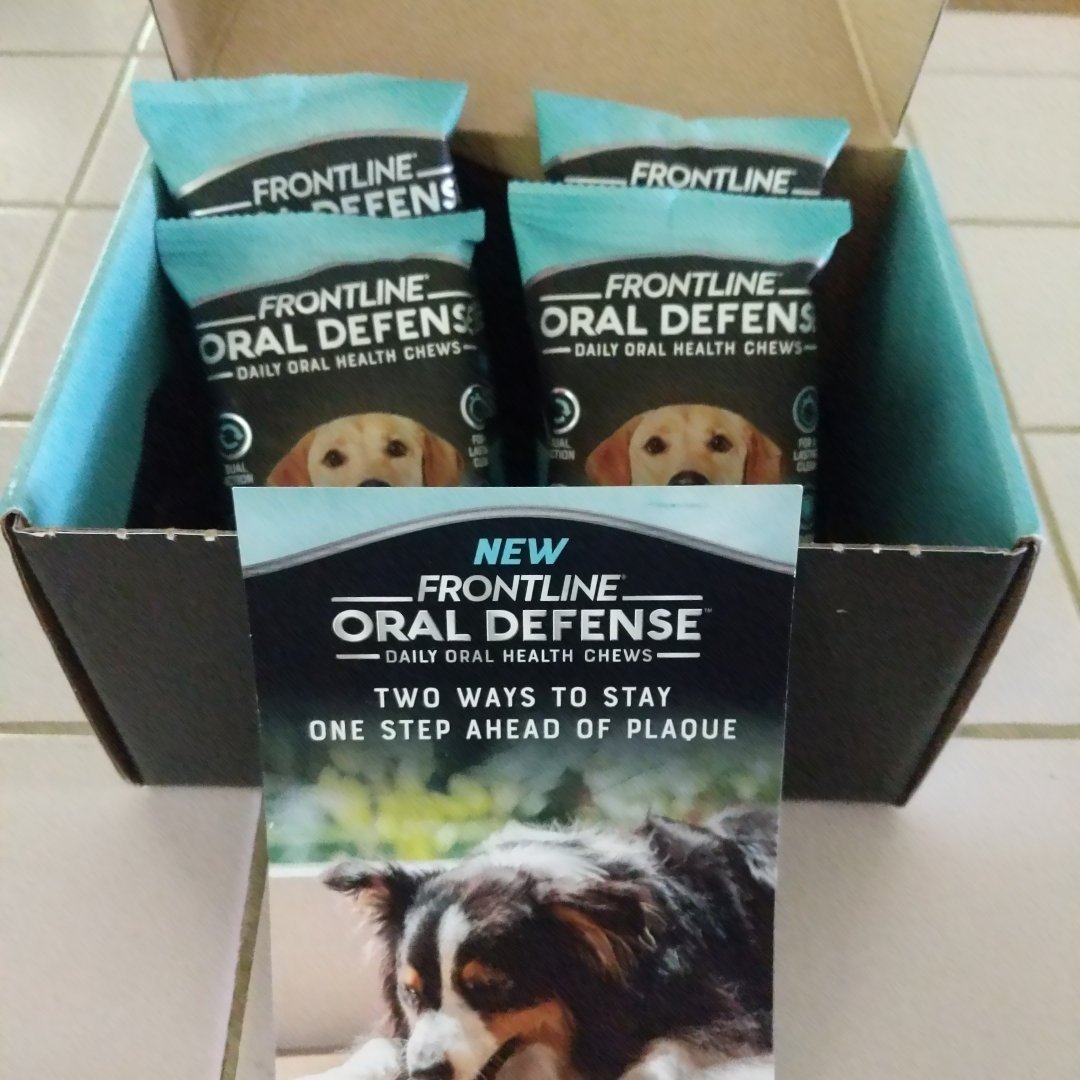 Spunky_JBird's tweet photo. Got my @chewy VoxBox with Frontline oral defense today! My pup is happily chewing one up right now and loves it. thanks @influenster #freebie #voxbox #frontlineoraldefensechewy https://t.co/l7rGS6D000