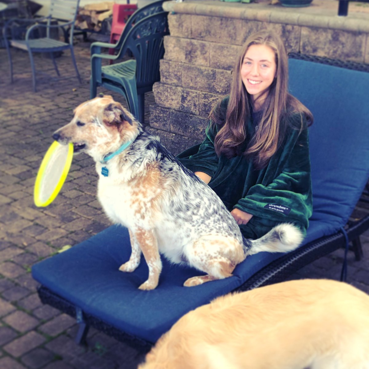 konabenellie's tweet photo. Cooper, his #frisbee, and #throwbee β Life is good. π #cattledog #australiancattledog #dog #adopt #adoptdontshop #socialenterprise #konabenellie https://t.co/7Di0Bf9NLU