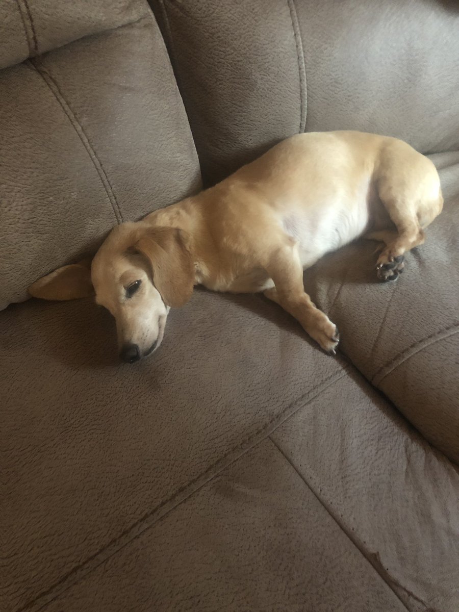 BalkeTim's tweet image. 