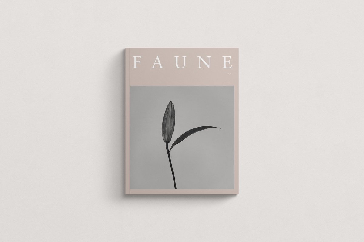 faunejournal's tweet photo. Introducing Volume 02 - This issue features a 24 page story on Ranthambore’s Royal Bengal Tigers, an animal with a very special place in our hearts! With an evolved design, Volume 02 brings the colour &amp; warmth of spring and summer to the pages of Faune | https://t.co/jxLGNiS9Kk https://t.co/b8DYiYQNra