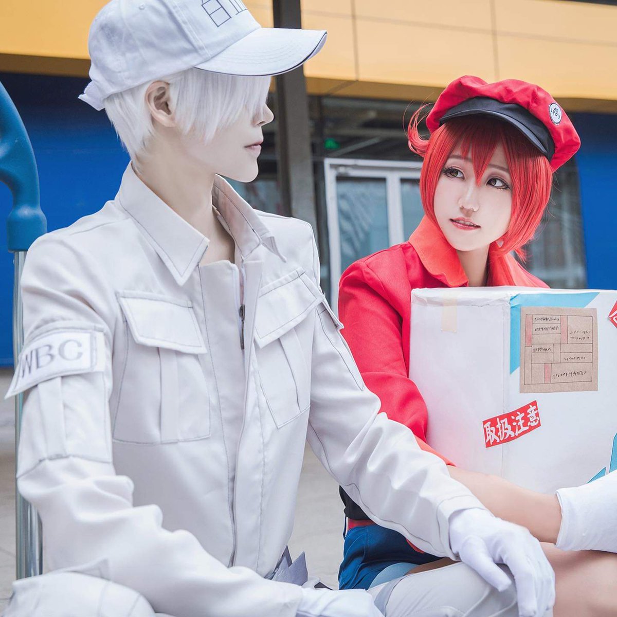 Weian Vann Na Twitterze Cos Cosplay Cosplayer 工作細胞 白血球さん Cellsatwork Pho 岚风白血球 我红细胞 梓夜今天去拍新的cos照了 所以更新的晚了 I Went To Take Some New Cosplay Pictures Today So The Update Is Late T Co Jtp5jejva9