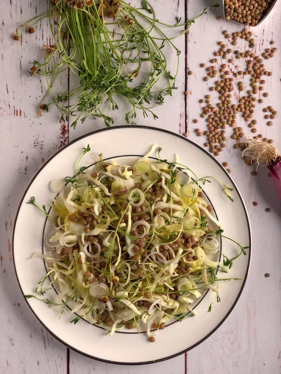 gourmama's tweet photo. Ottimo ingrediente per le zuppe nella stagione invernale, le lenticchie possono diventare protagoniste anche di piatti più addatti alla stagione calda: un’idea? L’insalata di lenticchie e cavolo bianco #gourmama #insalateestive #ricette #lenticchie
https://t.co/1UUCCtDfyC https://t.co/BwNIgddCrt