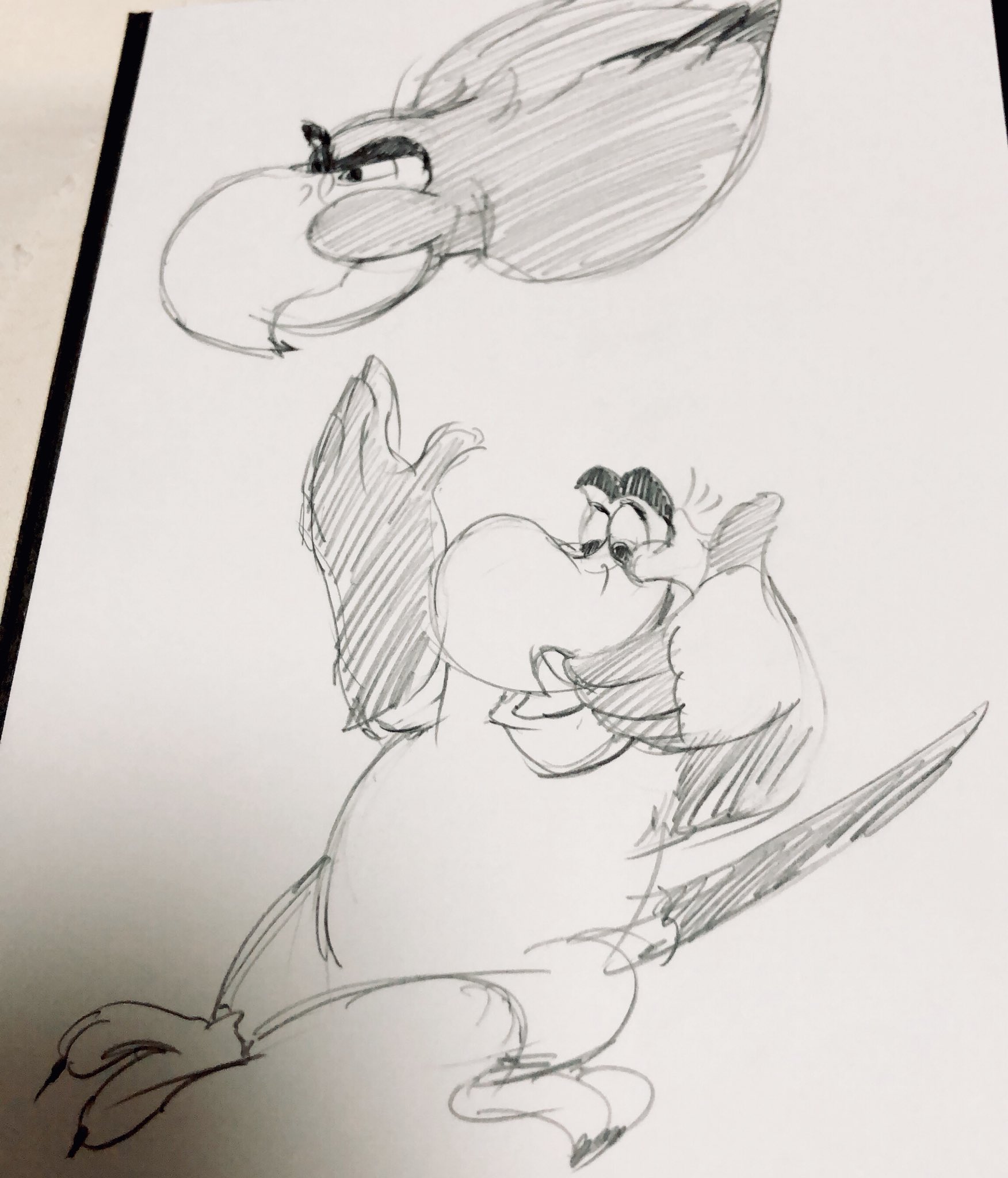 Uzivatel さるたん Na Twitteru 実写版はめちゃめちゃ鳥だったのでかわいいイアーゴが恋しくなって落書き笑 アラジン 落書き イラスト ディズニー