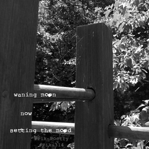 piku_poetry_314's tweet photo. 🥧
.
waning moon
now
setting the mood
.
#vss365 #vss365a #prompt #mood #PikuPoetry #Piku314 #PikuVerse #BeatPoetry #8syllables #VoMoPo #Binkstuff #JustDelmarvalous #shahai314 #haiku #haiga #senryu #shahai #piehai #wordplay #pie #pi #shortverse #BeatPoetry #poem #microstory https://t.co/X5jc3jkVTW