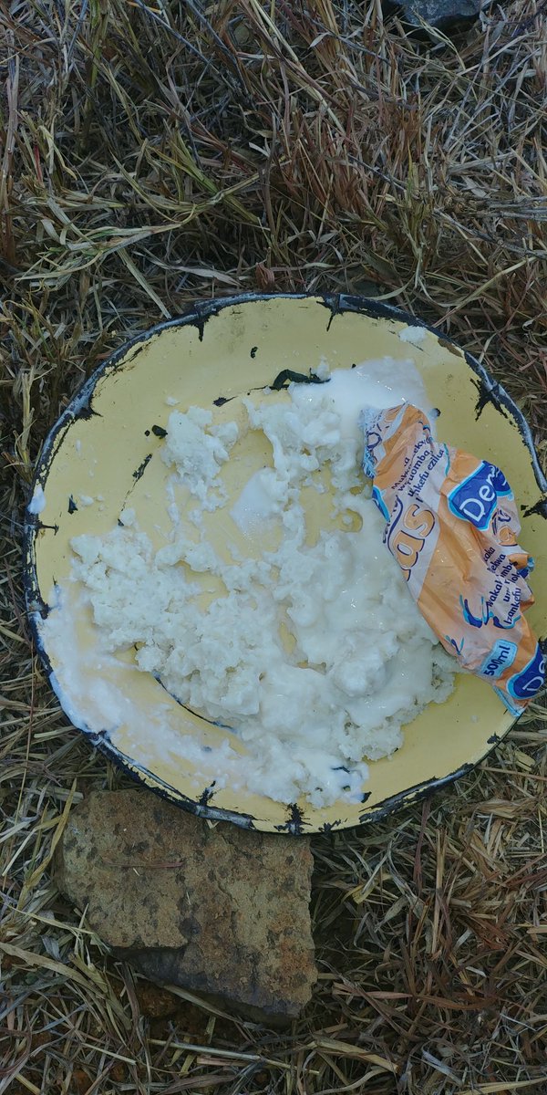 juniorluvae's tweet image. Lunch!