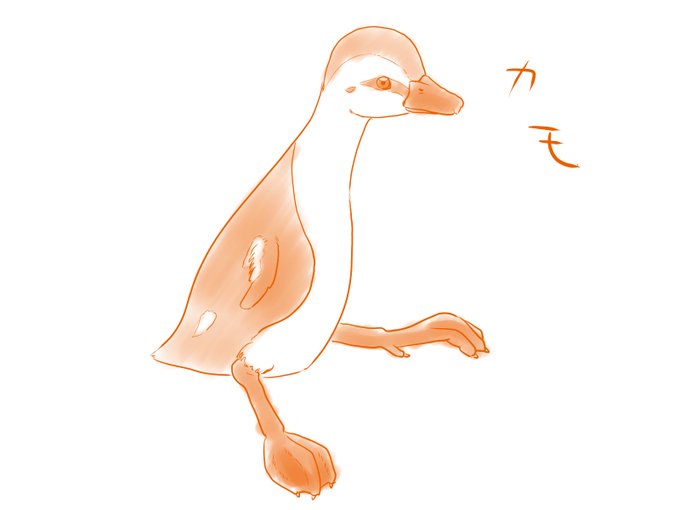 カルガモのtwitterイラスト検索結果