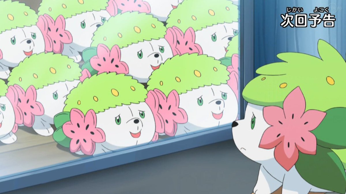モアタ アニポケ