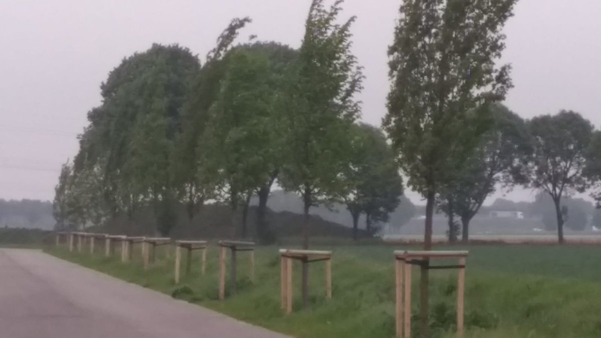 Onno Staal tweet media