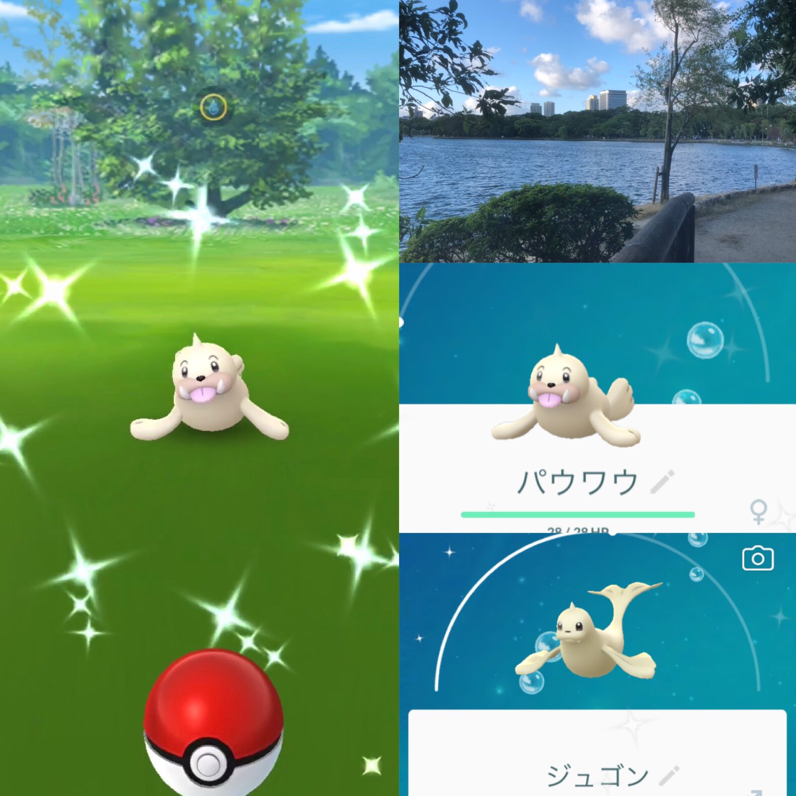 パウワウの巣 Twitter Search Twitter