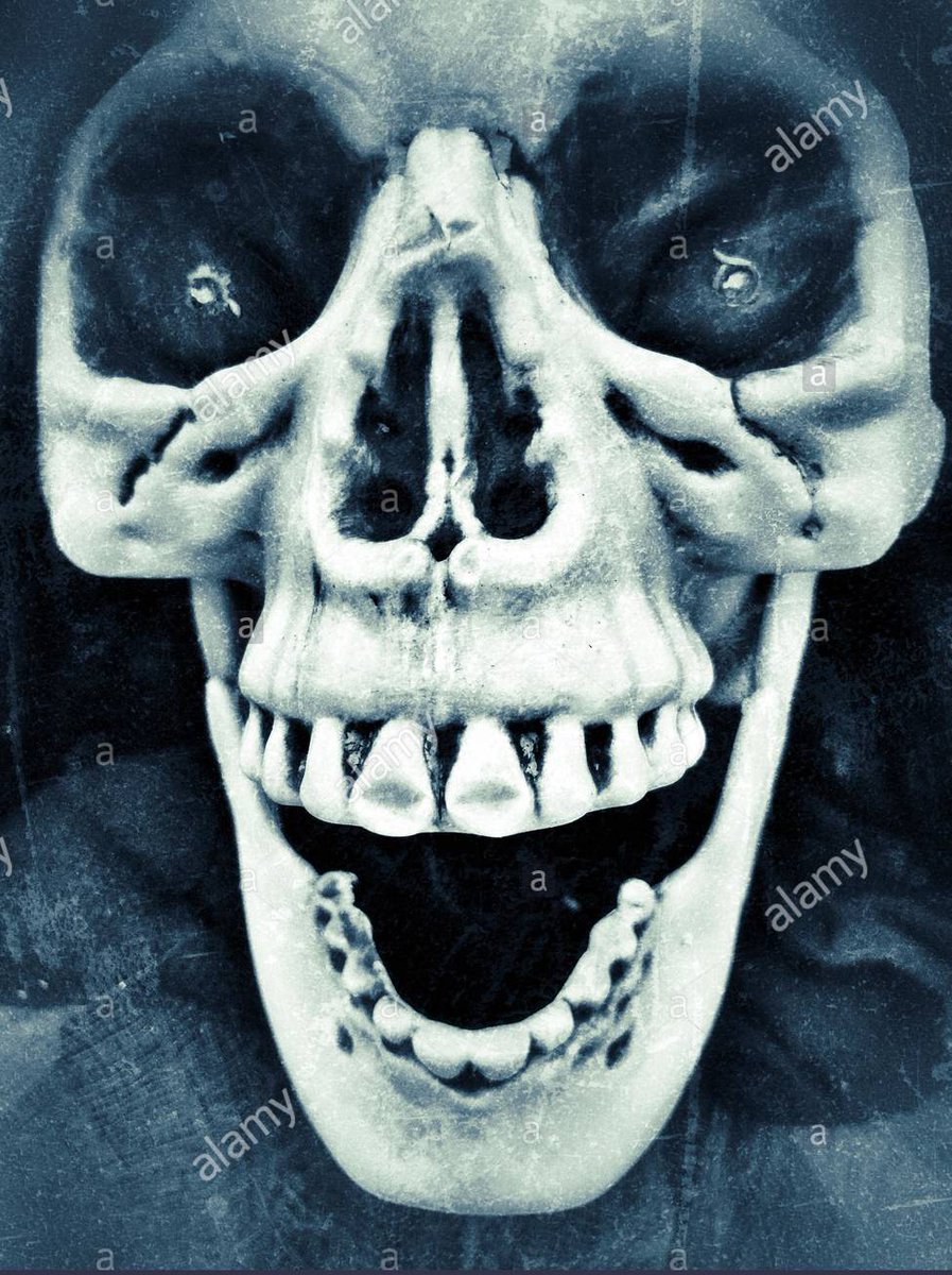 masterofmetal's tweet photo. The Saucy Slurry Erupting from My Nefarious Nob could Feed all the Starving Children in this Wicked World if #yourmother wasn't such a Greedy Gulper! I must say I'm Proud of the Old Bird for Strenuously Swigging all the Curdled Cocksnot she could~ I'm Tickled! By Tonsils. #suckit https://t.co/DohxMVXhP4