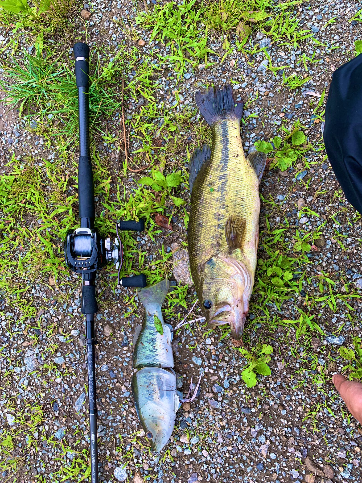 人気 deps コードネームバス - ecotours-of-oregon.com