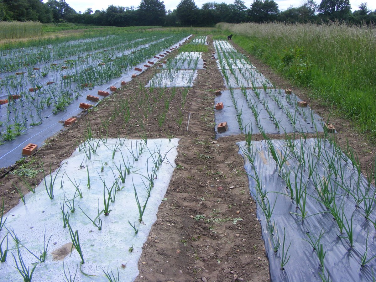 5AFarm's tweet image. In our latest podcast (episode 12) we talk to Dr Francis Rayns from @CoventryCAWR  about the practical research running on our farm, what it is about and why. You can come and see the research in action when you visit the farm.  Find it on our website, Itunes,Spotify or Castbox
