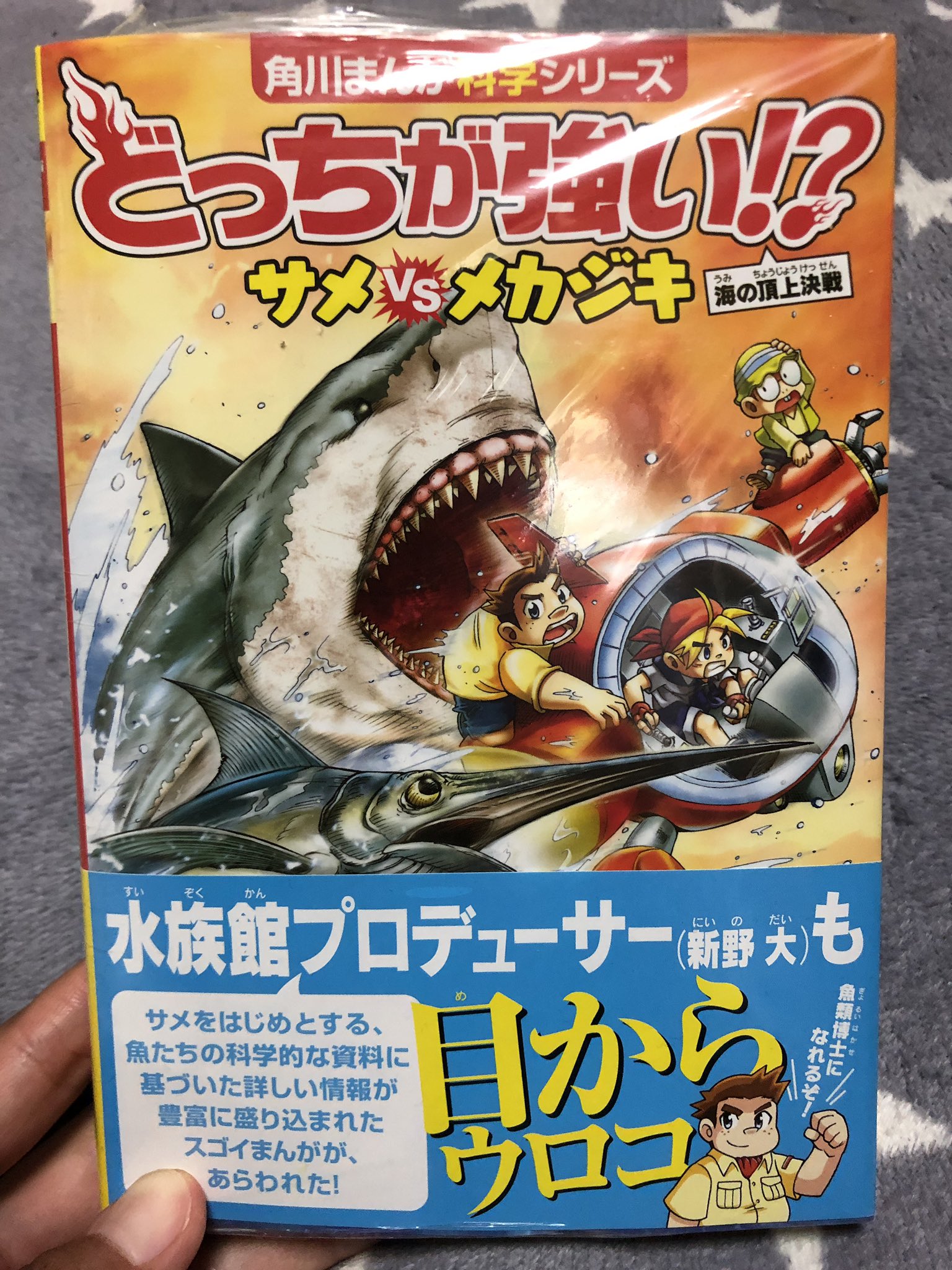 コウメグ🦈 (鮫メグ) على X: 