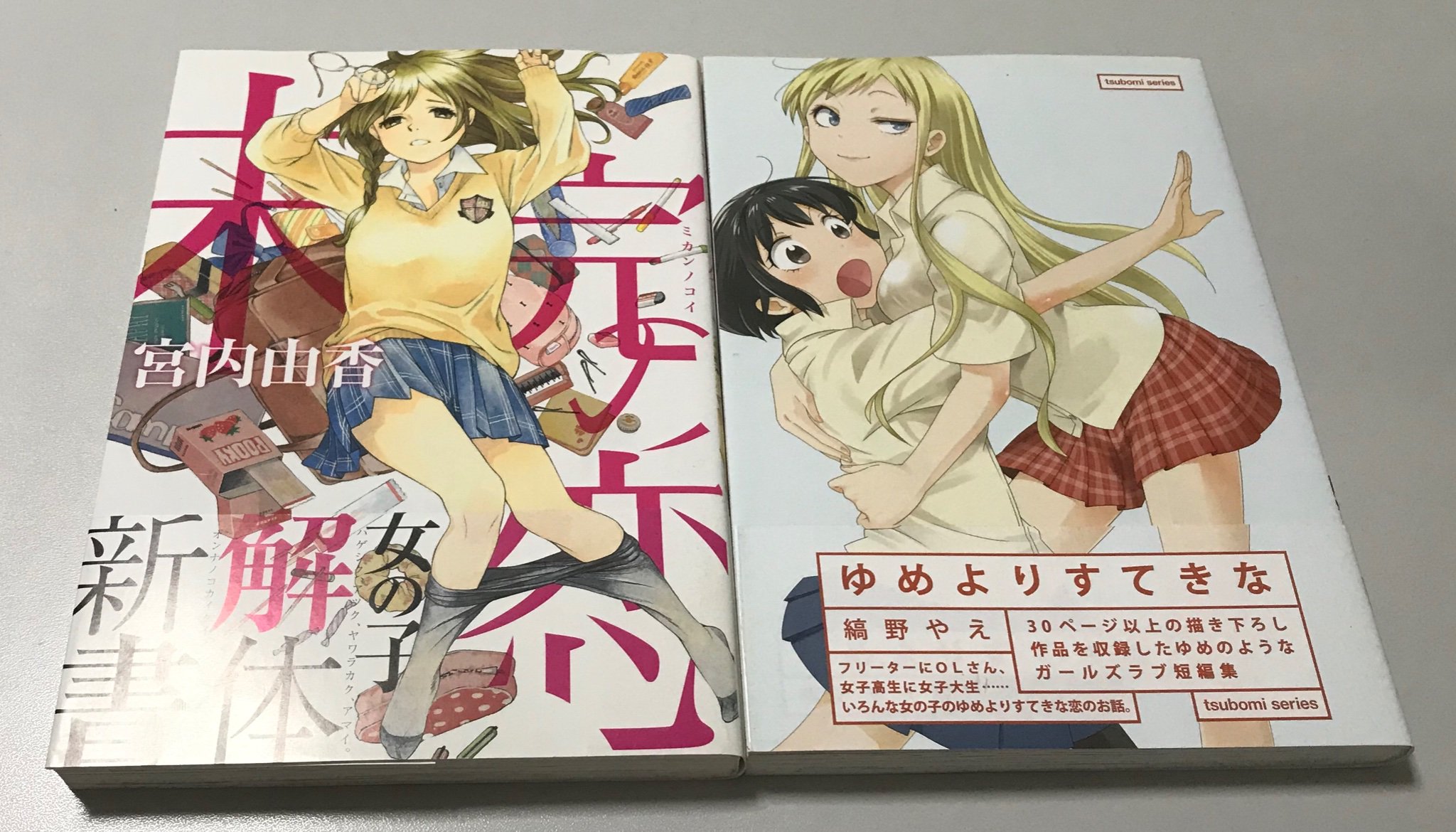 書泉百合部 Twitter પર 二代目百合部部長を拝命しました部員fこと 古川です 自己紹介として百合で特に好きな二作をご紹介させて下さい 未完の恋 宮内由香先生 と ゆめよりすてきな 縞野やえ先生 が大好きな新部長です これからもよろしくお願い致します