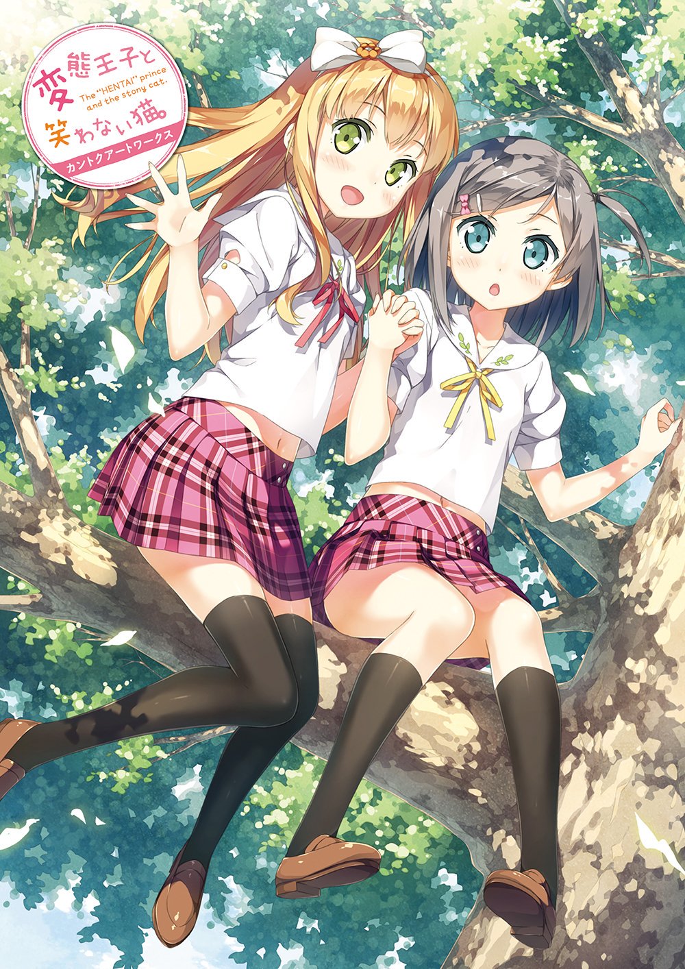 変態王子と笑わない猫 アニメ公式 先ほど投稿したイラストはtvアニメ 変態王子と笑わない猫 キービジュアル第一弾でした こちらは第二弾となっており 二枚とも 変態王子と笑わない猫 カントクアートワークス に収録されております 画集第二