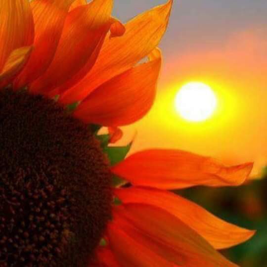 Bolor90790070's tweet photo. Happy Sunday evening to all of you🐤🐦guys🙏🙋♀️🌎🤗having a good rest🤗👨👧👦😍enjoying your hobbies💃👯♂️🏃♀️#havegoodenergy and #havegoodtime with loved ones💗☂️💐жиргээч та бүтэн сайхан амарцгааж бна уу сэтгэл тань дүүрэн сайхан🤗амралт тань эм болог ээ💃🏃♀️👗💗😍🐦 https://t.co/TOQdq8qjRG