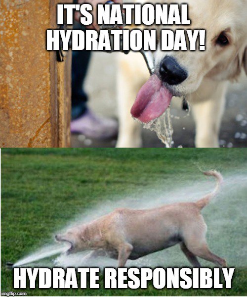 southcoastwater's tweet image. It's National Hydration Day! It's important to stay hydrated but remember every drop counts! #NationalHydrationDay #EveryDropCounts #SCWD