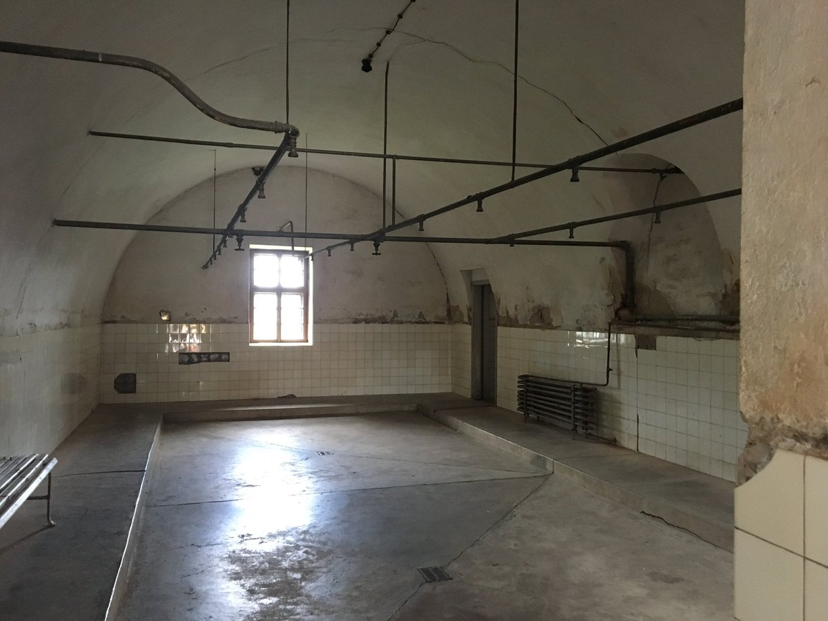 FirstDMc's tweet image. In May this year, I visited Terezin, Czech Republic, a Nazi concentration camp. Americans died to liberate the people held in these places.  Rooms for 40 held 800.  Ice cold showers in winter hastened death. No soap, blankets, no hope.  It could never happen again...could it?