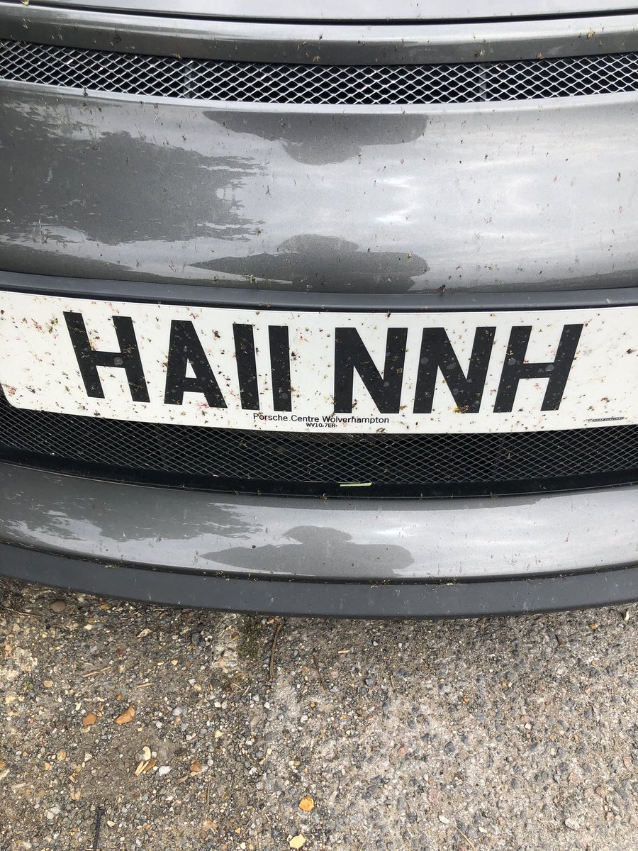 HA11NNH's tweet image. No flies on me 😳#bugkiller