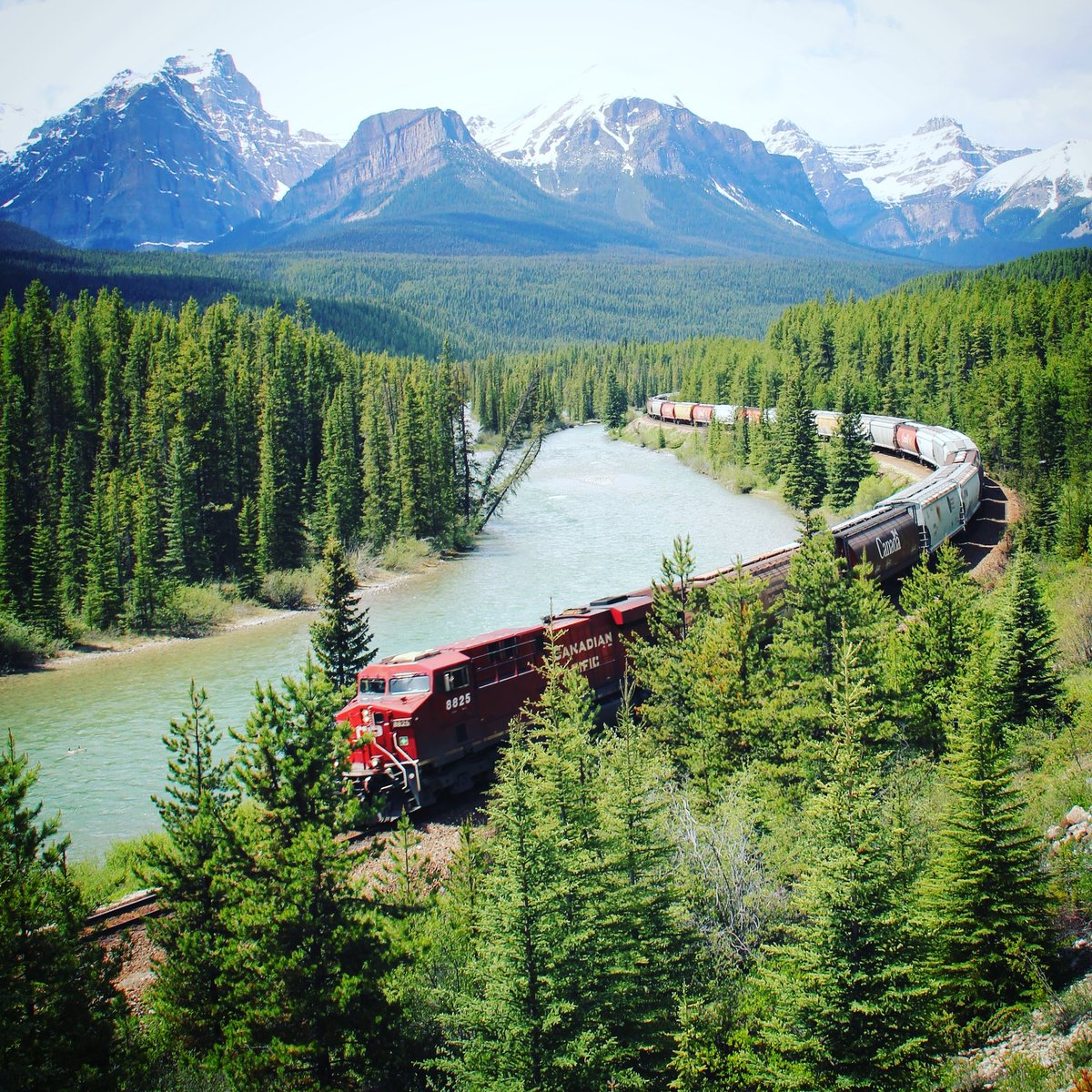 bushcraft4all's tweet photo. Dieseltrains in Canada are extremely long. Hundreds of train wagons come along and if you want to see the whole train like this one in Alberta, you'll have to be patient. #canada #alberta
#train #diesellocomotive https://t.co/yZDB4yIT2P