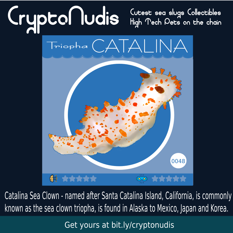 Catalina Sea Clown - named after Santa Catalina Island, California, is commonly  known as the sea clown triopha, is found in Alaska to Mexico, Japan and Korea.

check it out :) opensea.io/assets/0x48718…