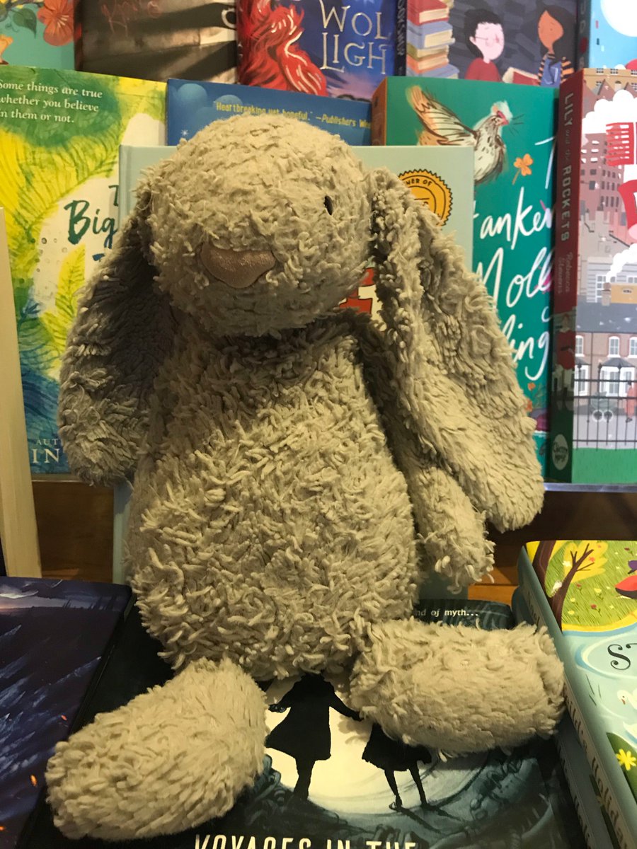 WELBooks's tweet photo. **ALERT** Child has left beautiful a flopsy bunny in the shop. Help us reunite them! https://t.co/o1fefY0oKf