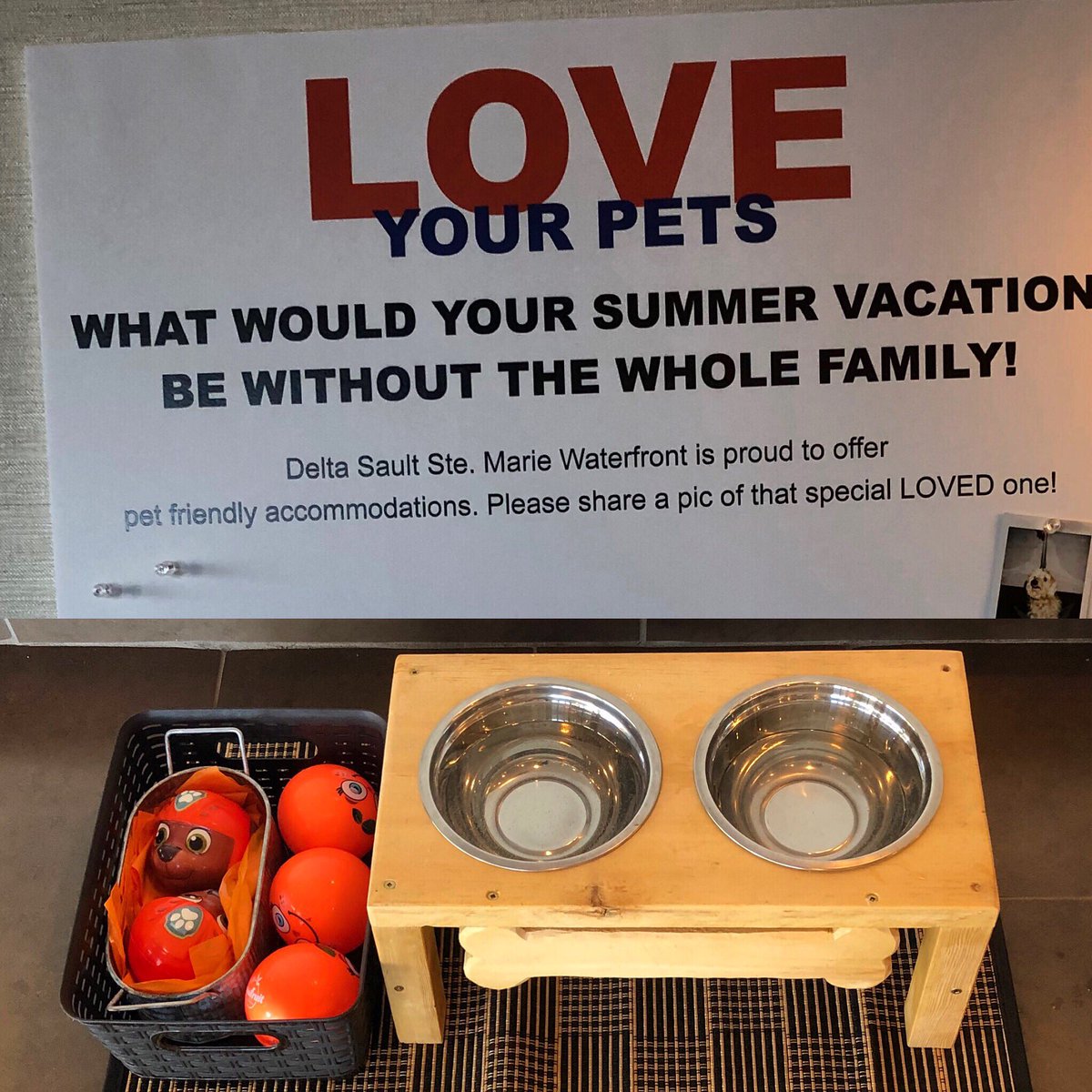 forkonthemove's tweet photo. What a great hotel! The Delta Sault Ste Marie really lays on a welcome for families with pets, recognizing that these are part of the family. BTW - the human beds are really comfortable too! @DeltaHotelsLtd @DeltaSSM #tmacssm #tmactravel https://t.co/YH1ZvuFIEY