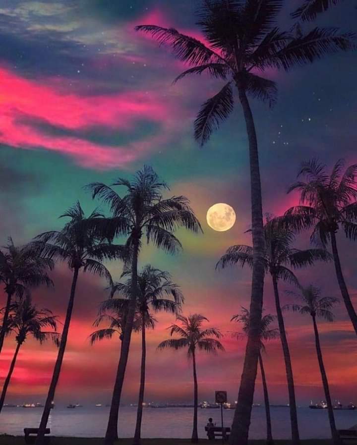 yazmindelossa10's tweet photo. when ever i see aesthetic views
me:waaaahh mah new wallpaper❤️ https://t.co/hk75yYau5Y