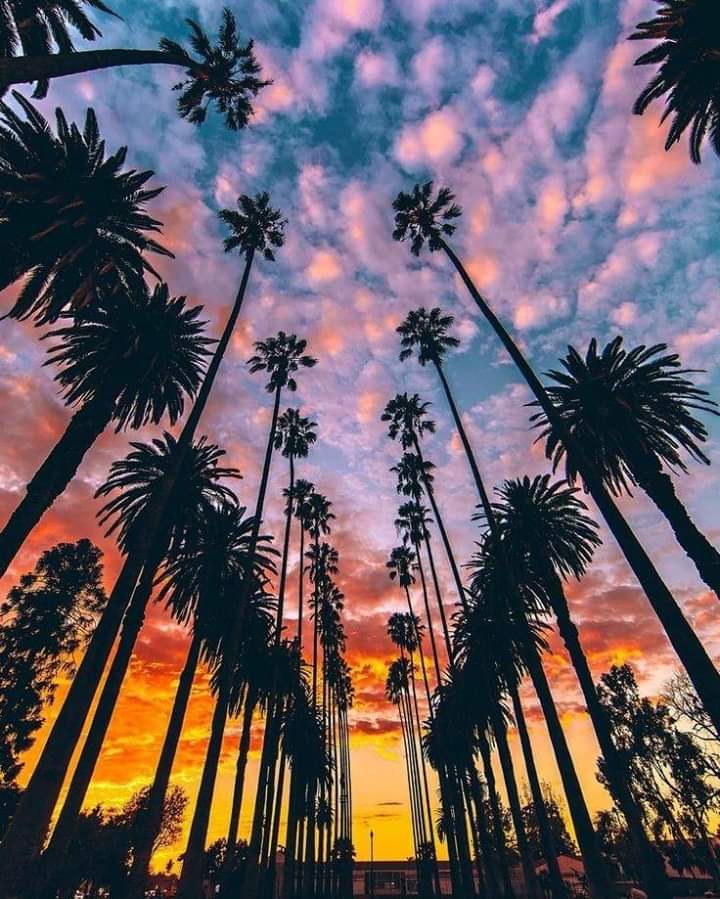 yazmindelossa10's tweet photo. when ever i see aesthetic views
me:waaaahh mah new wallpaper❤️ https://t.co/hk75yYau5Y