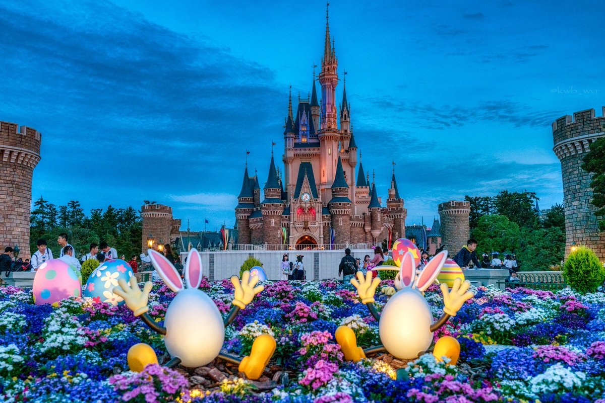 わー最高です 素敵です 綺麗です 今すぐディズニー行きたくなる写真 写ってないですが ダッフィーにも会いたい