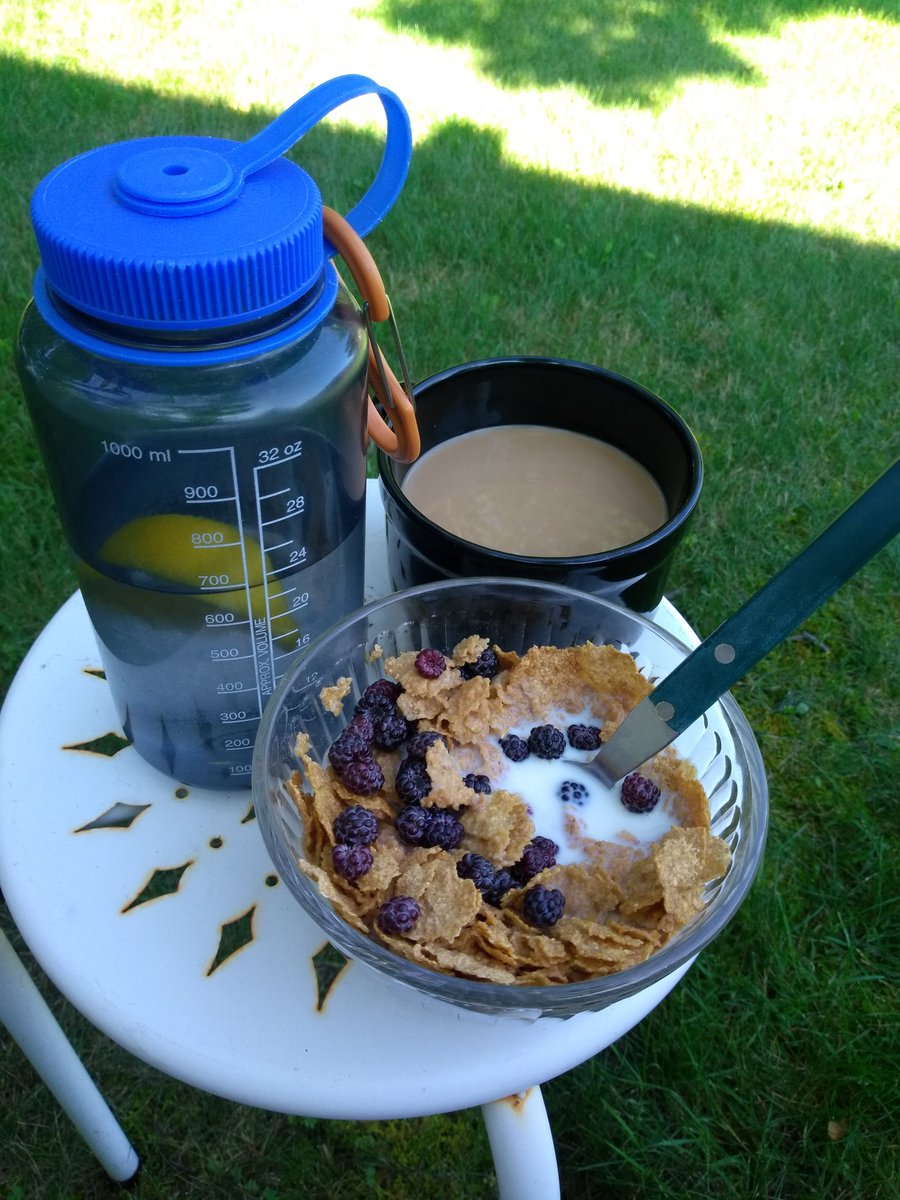 galvngear's tweet photo. Fresh #rasberries from my garden. #coffee #breakfast in the garden enjoying this wonderful morning. #jerseyfresh #backyardgarden #homegrown https://t.co/o805schMLe