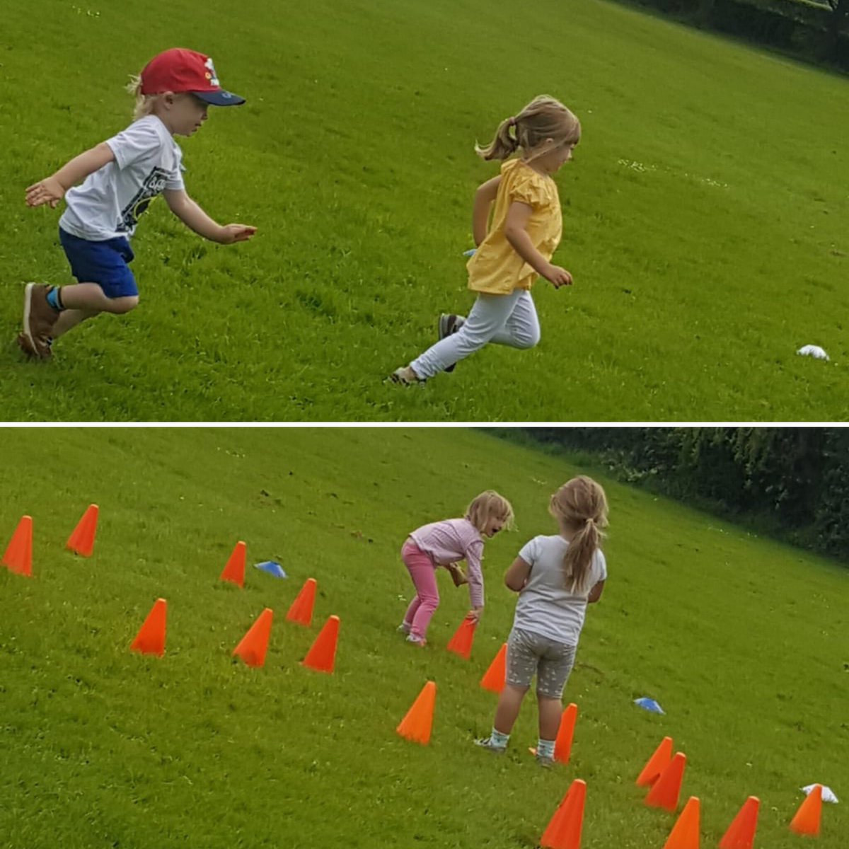 TarpFEST tweet media