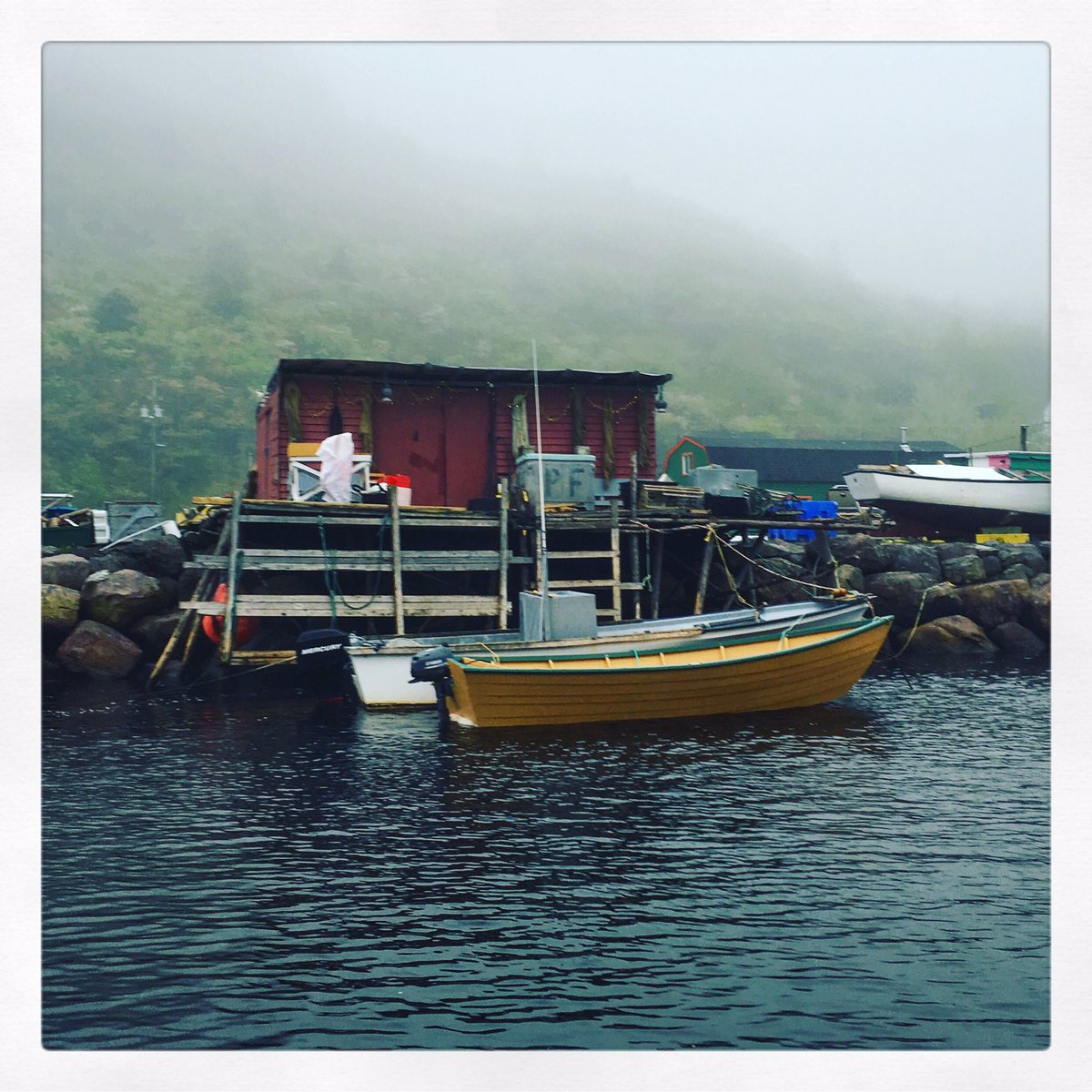 P(r)etty Harbour 😍

#pettyharbour #yyt #explorenl