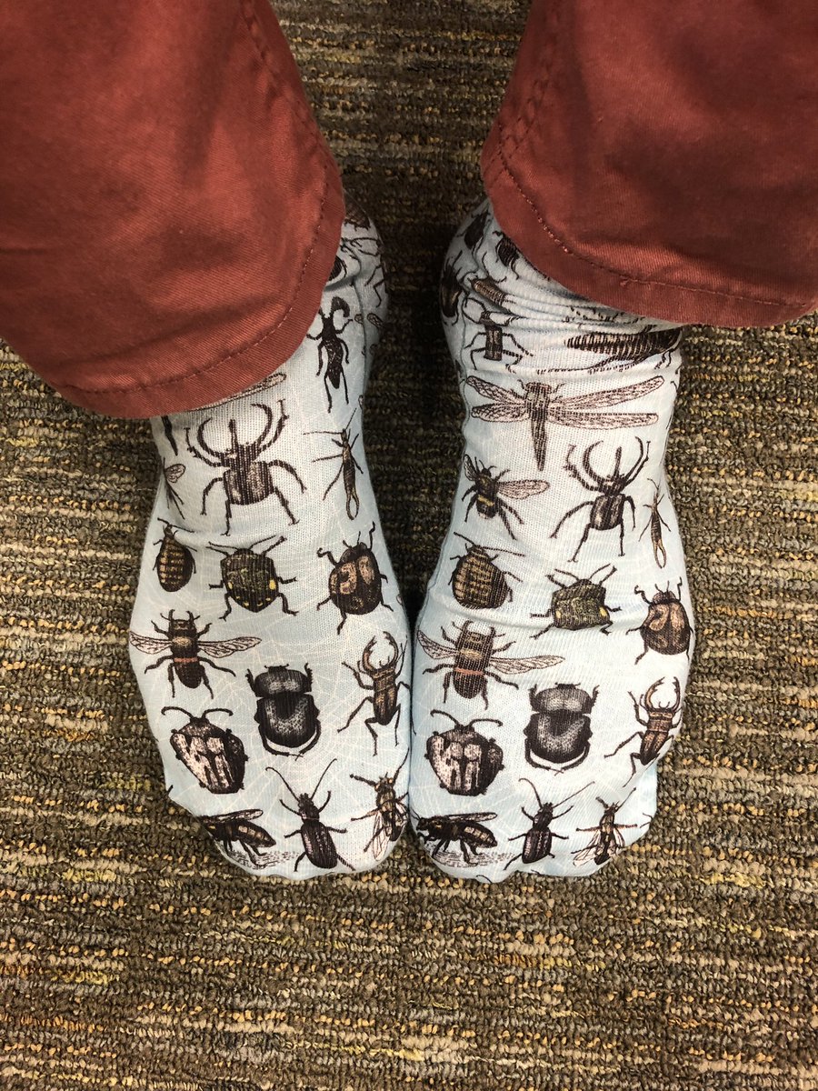 Nathan Lino tweet media