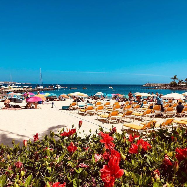 JennellRenai's tweet photo. Nice ass 2-3 bedroom beachside houses and condos run 175k - 300k here with sun 325 days out of the year. WTF am I doing with my life? .
#adulting #igotitallwrong #myprioritiesneedarevamping #nobeachinaustin #lifegoals https://t.co/uacY0Ly5Q6 https://t.co/RU2cuRgBbV