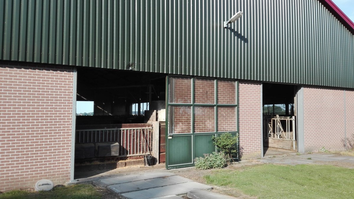 annemiekschinke's tweet image. in #groningen geen #hitteplan van kracht. 
Voor onze koeien lekker veel lucht door open deuren (en hier waait het altijd! 😁), in voer extra zout gemengd en likstenen voor koeien die zin hebben in extra snack (#zout )
#geenhittestress