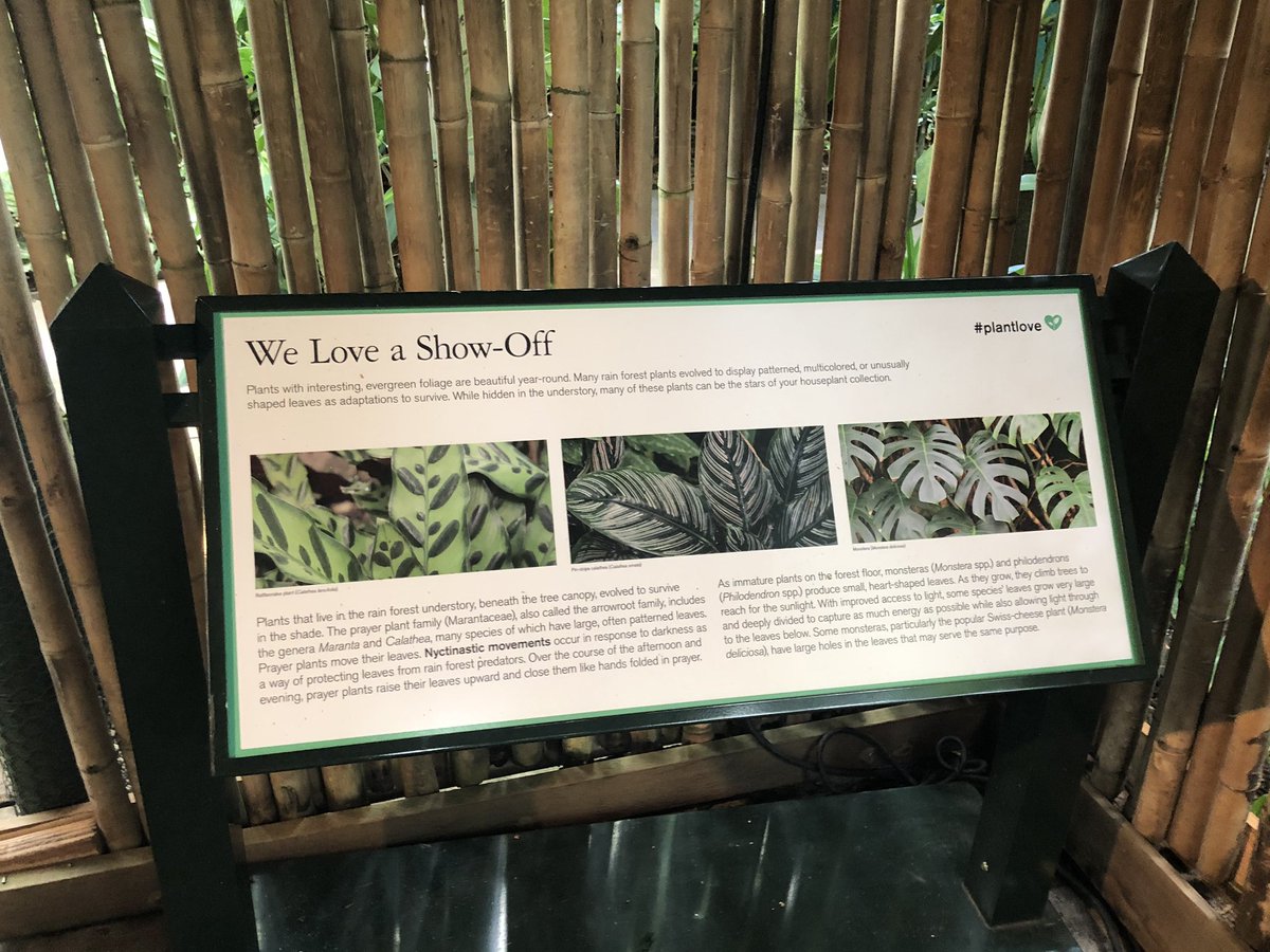 yo_essie's tweet photo. The #BurleMarx show at @NYBG is unreal, but an unexpected bonus has been their other signage, which is so. Sassy. Here for it. #ITweetMuseums #PlantLove #MuseumSignage https://t.co/JzE1Mg5hAR