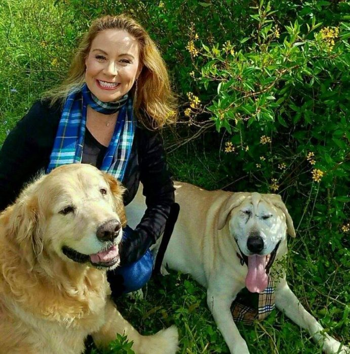 good37405813's tweet photo. OTRA BUENA....... Pa  los Perris         😍🥰😘😀😚😛😆
Lo rechazaban por su cara, había quedado solo en un Refugio, SI,  !
Tiene una Malformación  Y NADIE LO QUERIA.
Y  esta  SEÑORA  lo  adopto  y le dio una vida nueva !
 Bueeeeeeeeeeeee, Mira https://t.co/HnvU324W3A