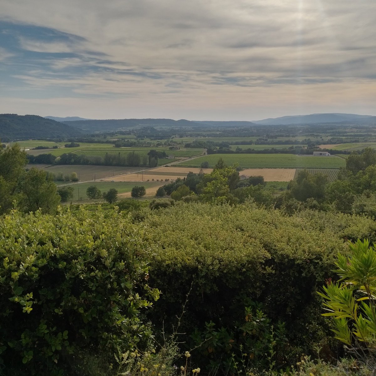 pascalechevassu's tweet image. #Luberon ❣️