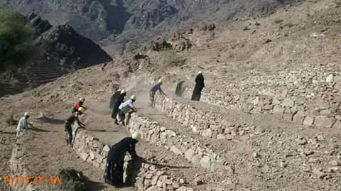 SFDYemen's tweet photo. food production is the sustainable solution for #Yemen chronic #Food_Insecurity crisis with #dignity. #SFDisDifferent in strengthening #agriculture and empowering poor farmers to cope with the conflict impact with continued support of @AlbankAldawli
@FeridBelhaj @EbrahimYMN https://t.co/SkAptEWHZ9