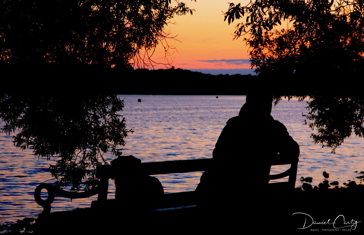 danielcartyima1's tweet photo. Mrs Daniel Carty Images with Bonzo Dog - Early June 2019. Sunsets to die for Pennington Flash @WiganCouncil We really didn't want to go home that night. #sunset #sun #redskies #summer #SolsticeSaturday #Leigh #beautyspot #favebench https://t.co/JX1Ia1OvnA