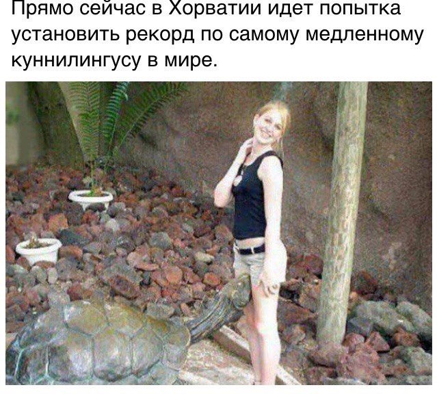 D9w8HyAWsAE126L?format=jpg&name=small