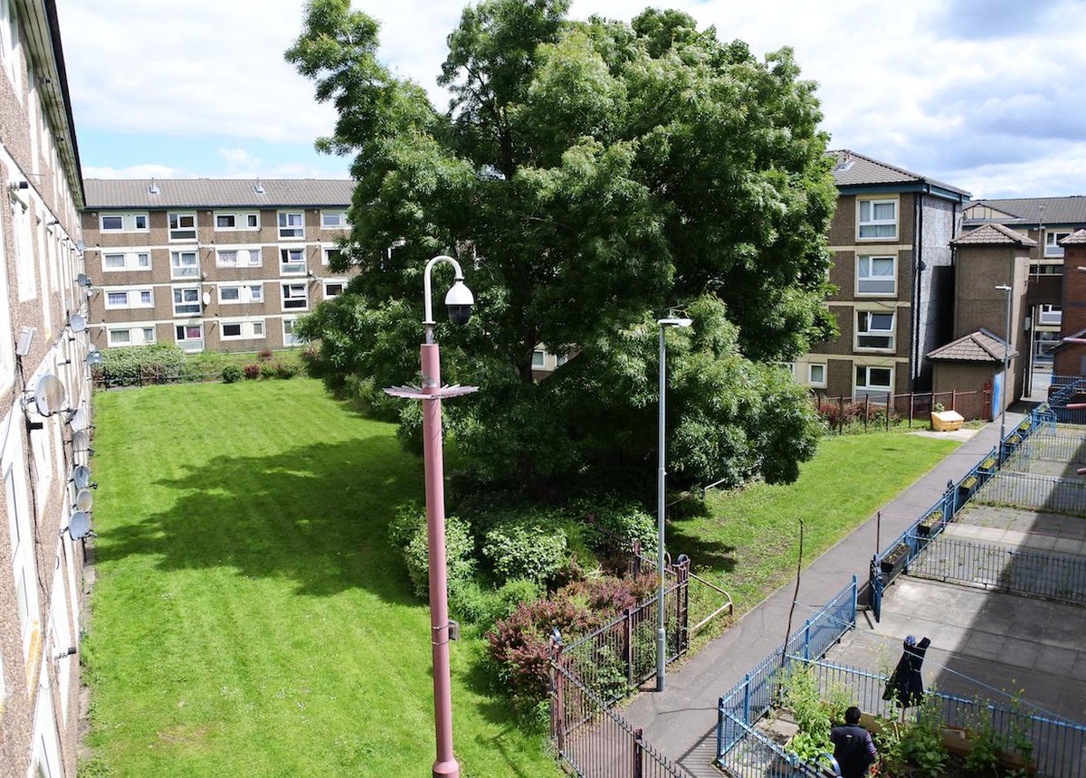 Ratgirl 🐀 tweet media