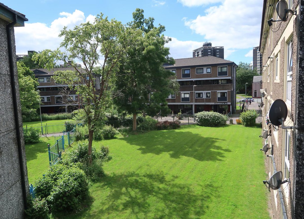 Ratgirl 🐀 tweet media