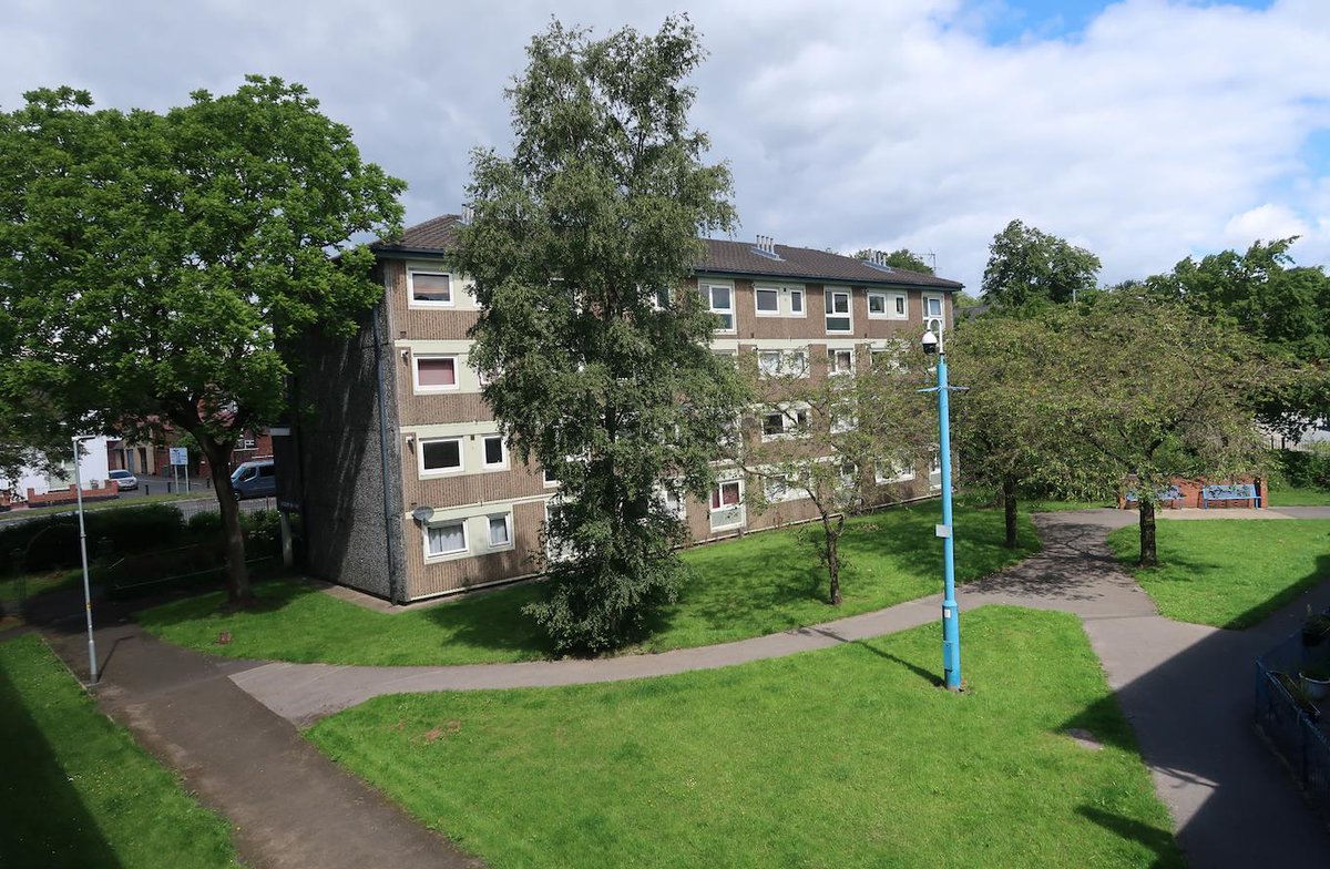 Ratgirl 🐀 tweet media