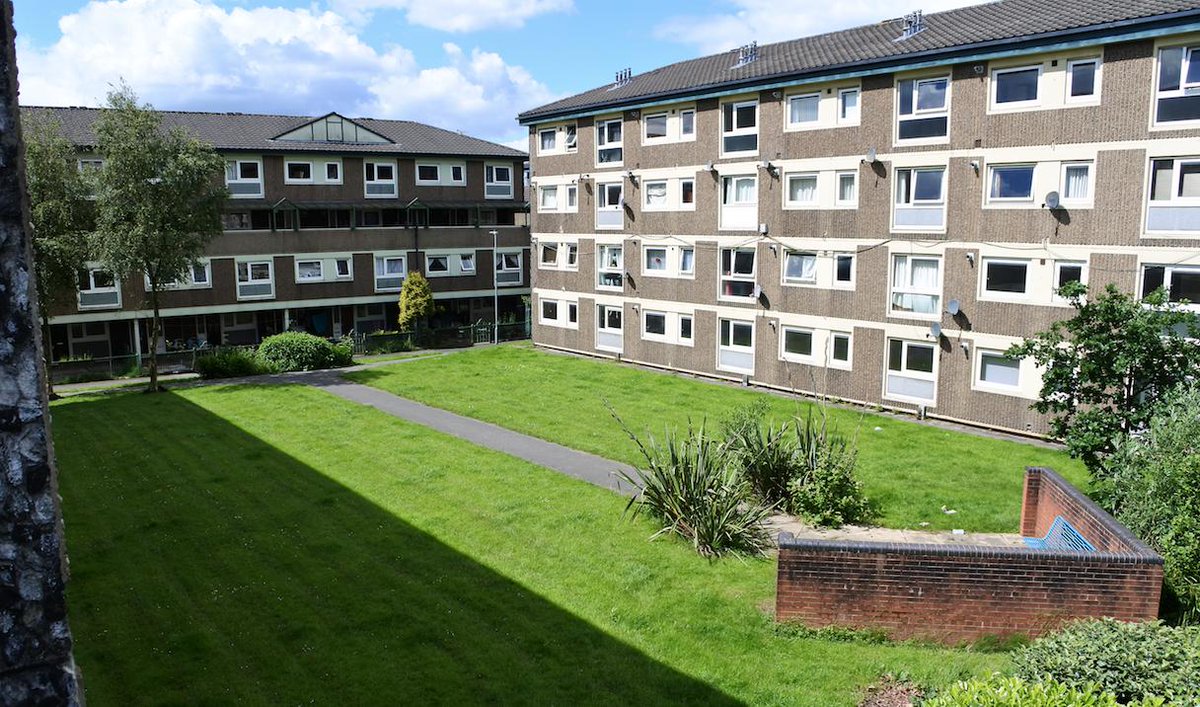 Ratgirl 🐀 tweet media