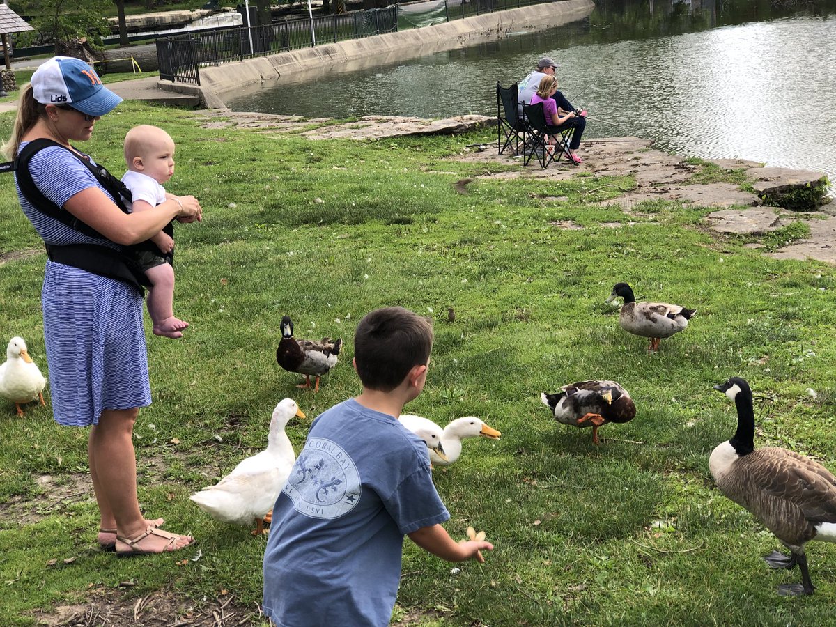 ScottFadness's tweet photo. The Fadness family was glad to return to one of our favorite stops in Pendleton Indiana. Relieved to see the ducks at the Pendleton Falls Park made it through the tornado! Happy to see this Town getting back on its feet so quickly!! https://t.co/ggppMJNip1